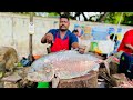 28 kg biggest trevally fish cutting🔥🔪 kasimedu selvam fish cuts🔥KF FISH CUTS