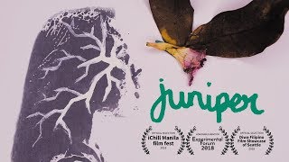 Juniper -  Experimental Short Film (Stop Motion Animation/Rotoscoping)