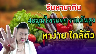 รีบหามากิน 4สมุนไพรลดความดัน พี่ปลา healthy fish