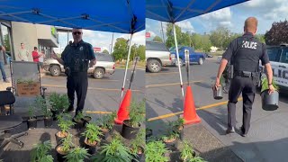 Marijuana plants seized from Faribault tent sale