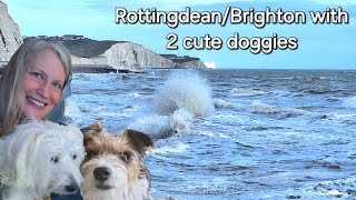 An accident in Brighton and 2 little dogs in Rottingdean: Travelvlog of a German solowomantraveler