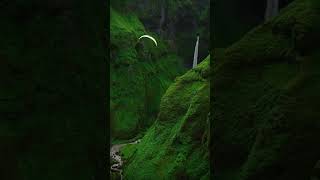 Green View Nature  ❤️ #viral #video #youtube #youtubeshorts #shortvideo #shorts #short