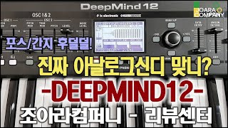 미디크루/-리뷰 Behringer deepmind12 리얼아날로그의 포스! #deepmind #대단하군!