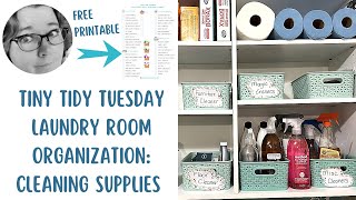 🍃 Laundry Room Organization: Cleaning Supplies | Tiny Tidy Tuesday Ep 16