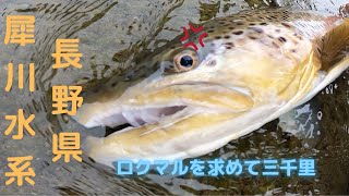 犀川モンスターを求めて