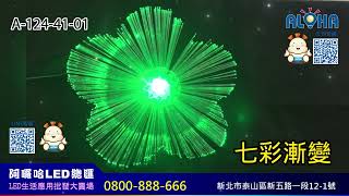 阿囉哈LED總匯_A-124-41-01_七彩-太陽花-水母燈-1顆／賣-DC12V