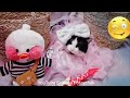 Cat is Funny