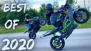 BEST RIDING YEAR EVER! (Compilation)