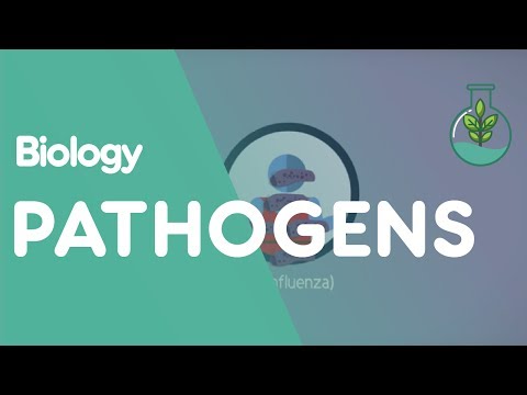 What are pathogens? | Biology for All | FuseSchool What are pathogens? | Biology for All | FuseSchool