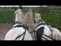 rijden met de koets gerard moerman.