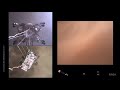 Vídeo real del aterrizaje de Perseverancia en Marte 4K
