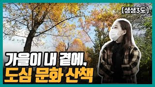 [생생3도] 가을이 내 곁에, 도심 문화 산책 | KBS 211119 방송