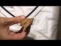 トリプルチョコモナカ ラクトアイス ｜森永乳業：写真と動画 通販.jp