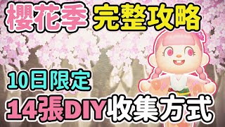 【Anny動森攻略】10日限定櫻花季完整攻略 | 收集更多櫻花花瓣 | 14張DIY收集方式【動物森友會】