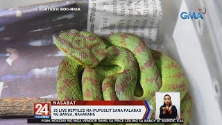 BOC foils attempt to smuggle 25 live reptiles through NAIA | 24 Oras Weekend