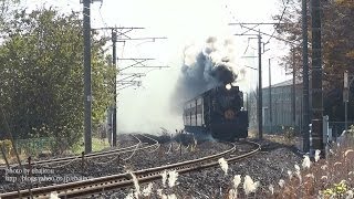 上越線 D51復活25周年号 8735レ 新前橋～群馬総社 2013.12.01