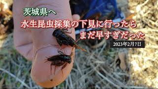 茨城県へ水生昆虫の下見に行ったらまだ早すぎだった