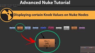 Displaying certain Knob Values on Nuke Nodes || Nuke Advanced Tutorial
