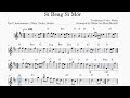 Si Beag Si Mor – Traditional Celtic Waltz – Play Along for Violin, Flute or Guitar