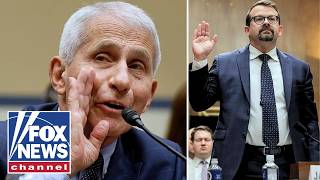 CIA whistleblower testifies on alleged COVID-19 origins cover-up