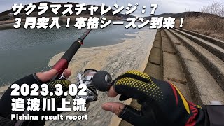 【サクラマスチャレンジ：７】 3月突入！いよいよ本格シーズン到来！今回こそサクラマスは釣れるのか？