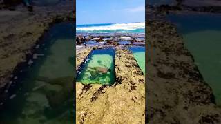 Thalpe beach in srilanka 🇱🇰 | තල්පෙ බීච්,යන්න ඕනම තැනක්❤️ | beautiful #shorts#travel#beach#beautiful