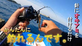 ページ31【爆笑＆爆釣】アオリイカを狙いに行ったら魚がたくさん釣れました。