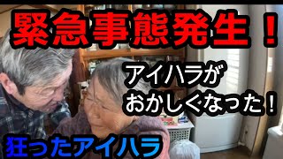 【関慎吾】良枝 アイハラ壊れる！！そして配信落とされる 20230221