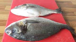 How to cut sea Bream / Dorade Fish in easy way | Fish Cutting | Easy Cooking Tutorial