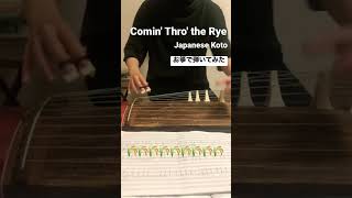 スコットランド民謡『🌾麦畑🌾』お箏(琴)で弾いてみた | Comin' Thro' the Rye - Japanese Koto | #お箏 #和楽器 #琴 #箏