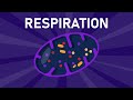 Aerobic and Anaerobic Respiration