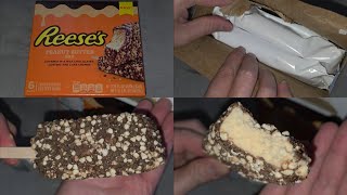 Walmart Item Review Reese's Peanut Butter Bar Covered in Milk Chocolate and Cake Crumbs Taste Test