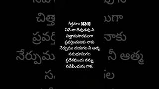 కీర్తనలు 143:10 | నీ చిత్తానుసారం నడిపించు | Telugu Bible Verse