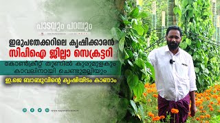 കൃഷിക്കാരനായ ഇ.ജെ ബാബു | കുരുമുളകും ചെണ്ടുമല്ലിയും | VIETNAM PEPPER WITH MARIGOLD |