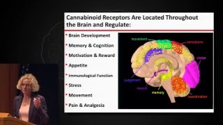 Neuroscience and Society: The Science and Policy of Marijuana
