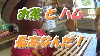 お茶とハムが絶品【岐阜県の道の駅】美濃白川編 行ってきました　5駅目