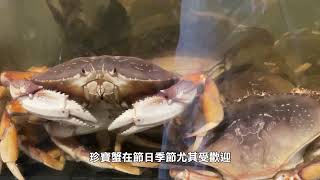 【天下新聞】加州: 為保護座頭鯨 珍寶蟹商業捕撈季再延遲 To protect humpback whales, commercial crab season delayed again