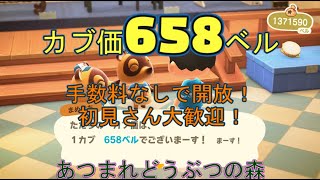 カブ価658ベル、648ベル、594ベル、582ベル、ウリ90ベル、92ベルを無償開放！ 往復OK！初見さん大歓迎！ 【あつまれどうぶつの森】【ライブ配信】