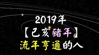 欣欣夫紫微斗數 2019年 【己亥豬年】 流年亨通的人