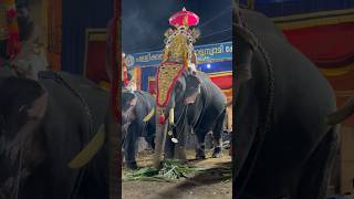 Pallickal ulsavam 2024 - Thiru Arattu varavu