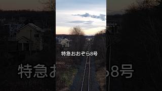 特急おおぞら8号ー十勝清水町 #shorts #jr北海道 #鉄道 #train #十勝清水 #北海道 #キハ261系