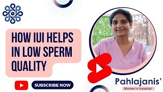 IUI Process in low sperm quality - Dr Neeraj Pahlajani - #shorts