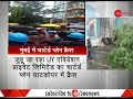 5 people dead after chartered plane crashes in mumbai s ghatkopar