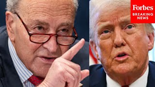 Chuck Schumer: The One Thing We Will Not Hear At Trump's Joint Congress Address 'Is The Truth'