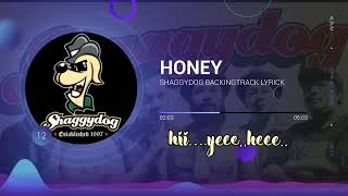 HONEY Shaggydog Backingtrack lirik