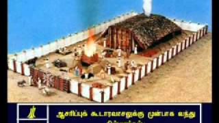 Numbers - 16  Tamil Picture Bible