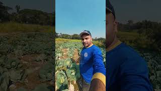 মাথায় করে কি নিয়ে যাচ্ছে ? Agriculture video 2025