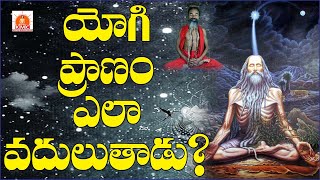 How a yogi gives up life | యోగి ప్రాణం ఎలా వదులుతాడు Free #Kriyayoga Classes Ph: 9951576619