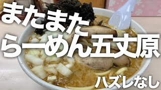 らーめん五丈原【タニの〆ラーメン】初めて食べた燕三条らーめんにハマりそうatすすきのチョイはずれ　RAMEN SHOP in SUSUKINO