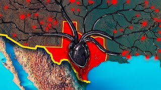 How Texas is Becoming the Geopolitical Superpower of the US